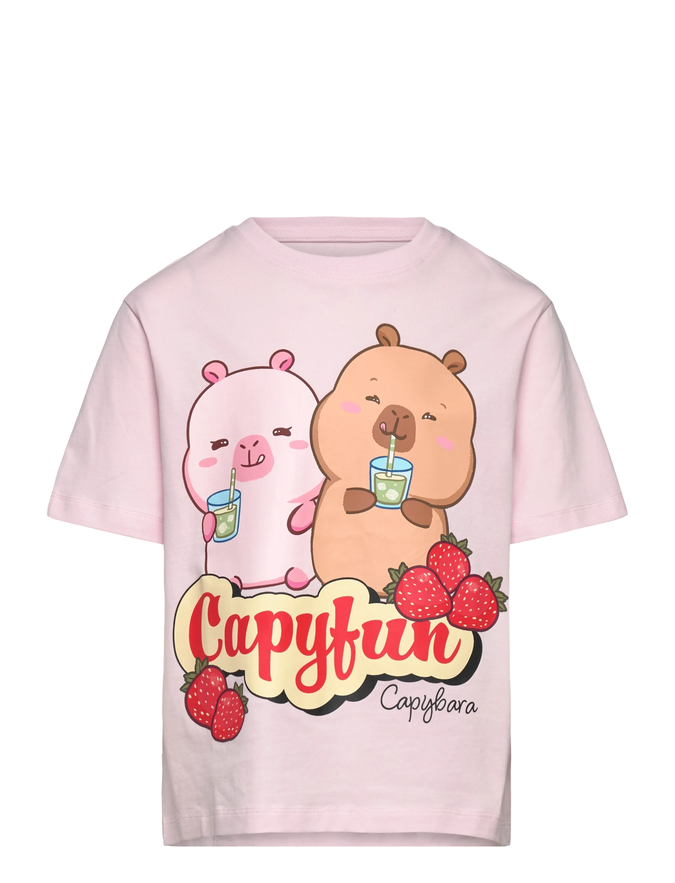 name it NKFABBI CAPYBARA SS NREG TOP LNOOS SKY - Vêtements - CRADLE PINK / pink/rose