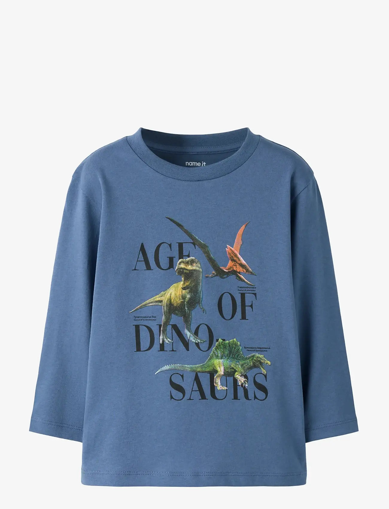 name it - NMMSIKKALAN LS NREG TOP - langærmede t-shirts - vintage indigo - 1