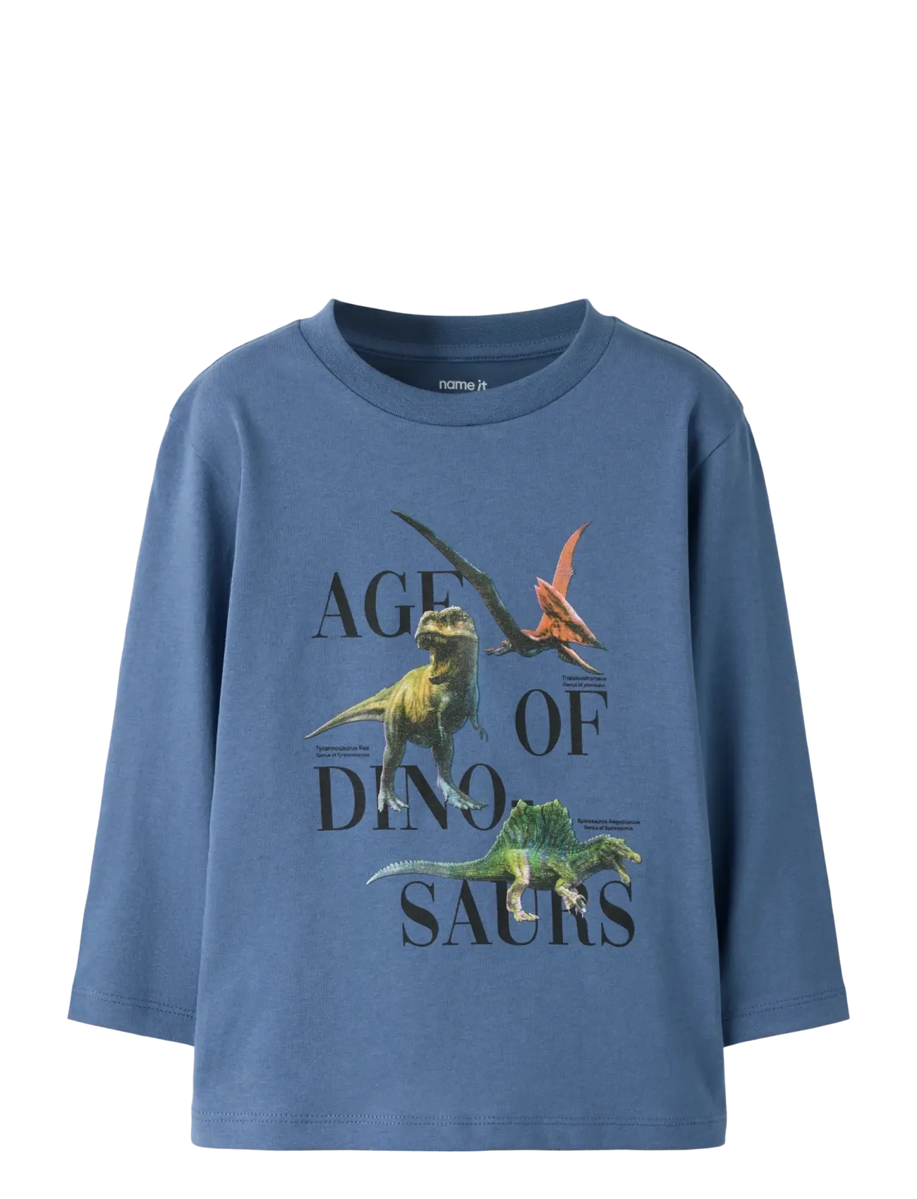 name it NMMSIKKALAN LS NREG TOP - Põhitooted - VINTAGE INDIGO / blue