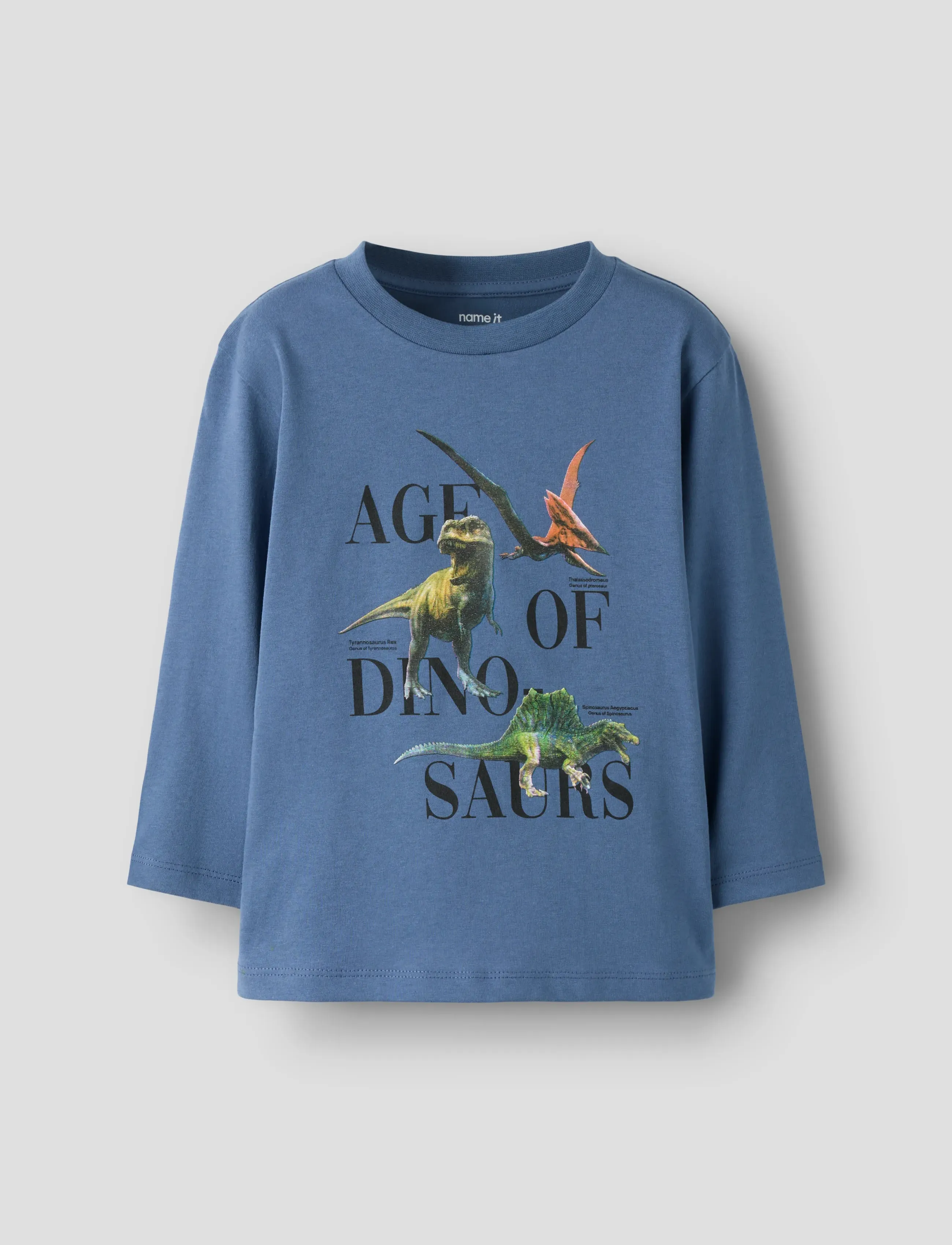 name it NMMSIKKALAN LS NREG TOP - T-shirts - VINTAGE INDIGO / blue