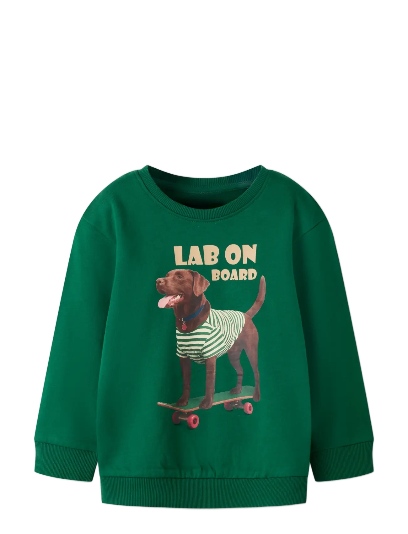 name it - NMMVOTO LS NREG SWEAT BRU - džemprid - evergreen - 2