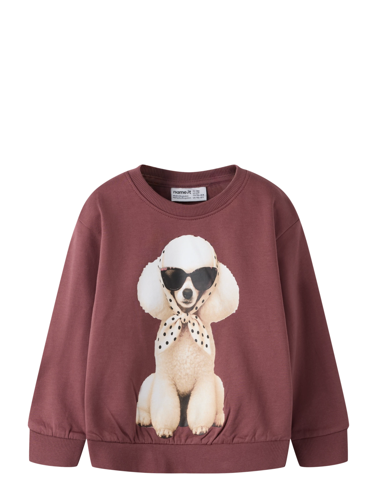 name it NMFVOTEA LS NREG SWEAT BRU - Oberteile - WILD GINGER / burgundy