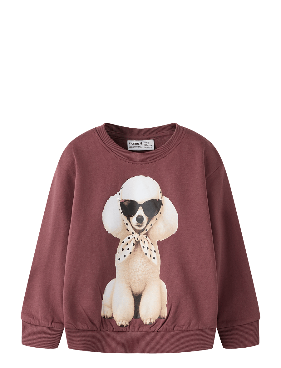 name it - NMFVOTEA LS NREG SWEAT BRU - sweatshirts - wild ginger - 0