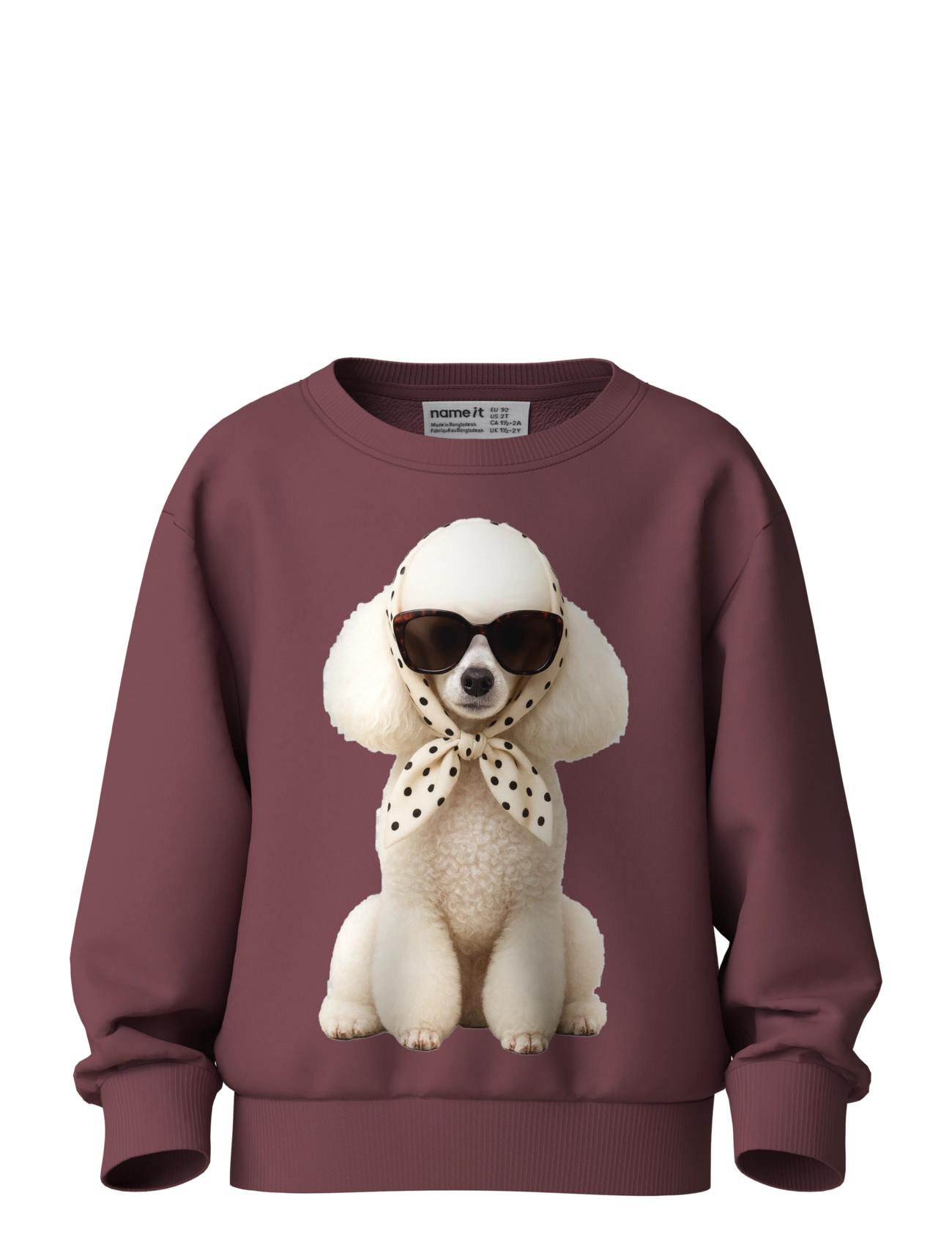 name it NMFVOTEA LS NREG SWEAT BRU - Name it - WILD GINGER / burgundy