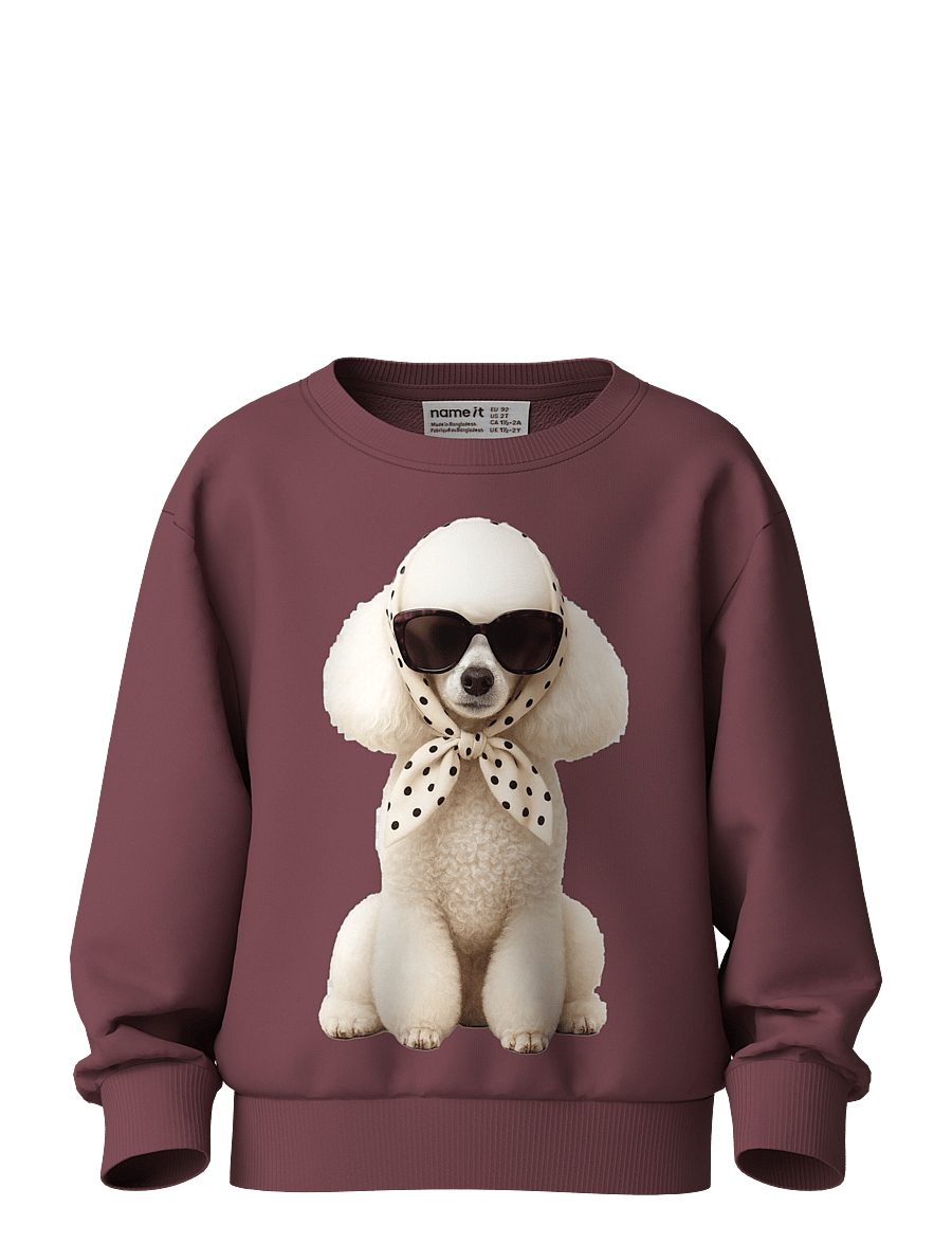 name it - NMFVOTEA LS NREG SWEAT BRU - sweatshirts - wild ginger - 0