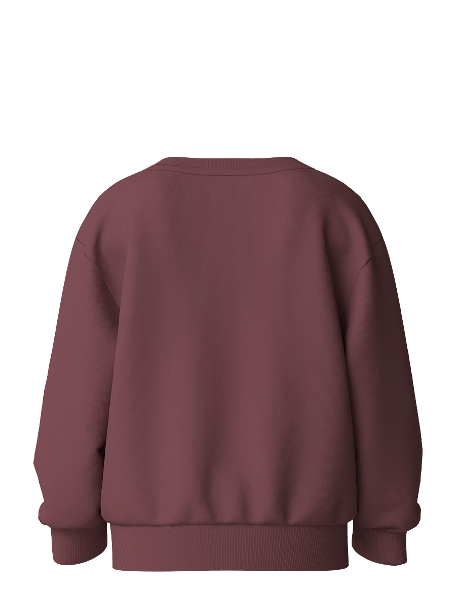 name it - NMFVOTEA LS NREG SWEAT BRU - sweatshirts - wild ginger - 1