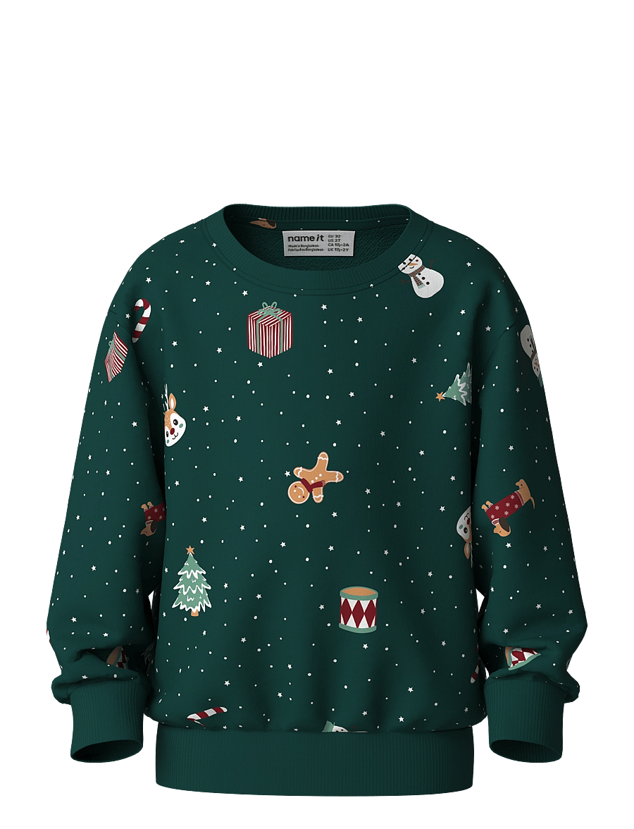 name it - NMNVOHOM LS NREG SWEAT BRU - sweatshirts - botanical garden - 0
