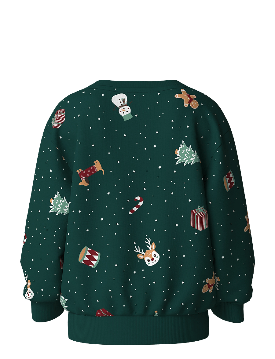 name it - NMNVOHOM LS NREG SWEAT BRU - sweatshirts - botanical garden - 1