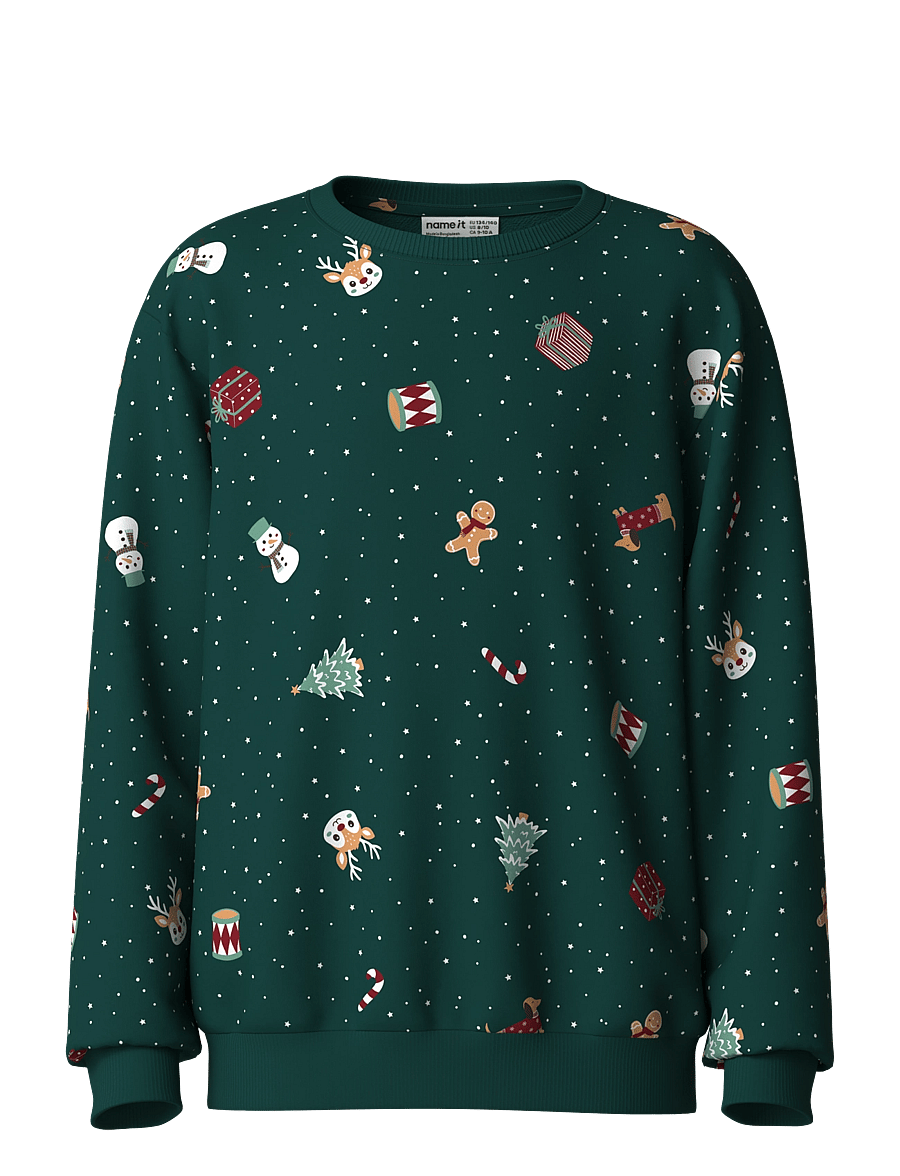 name it - NKNVOHOM LS NREG SWEAT BRU - sweatshirts - botanical garden - 0
