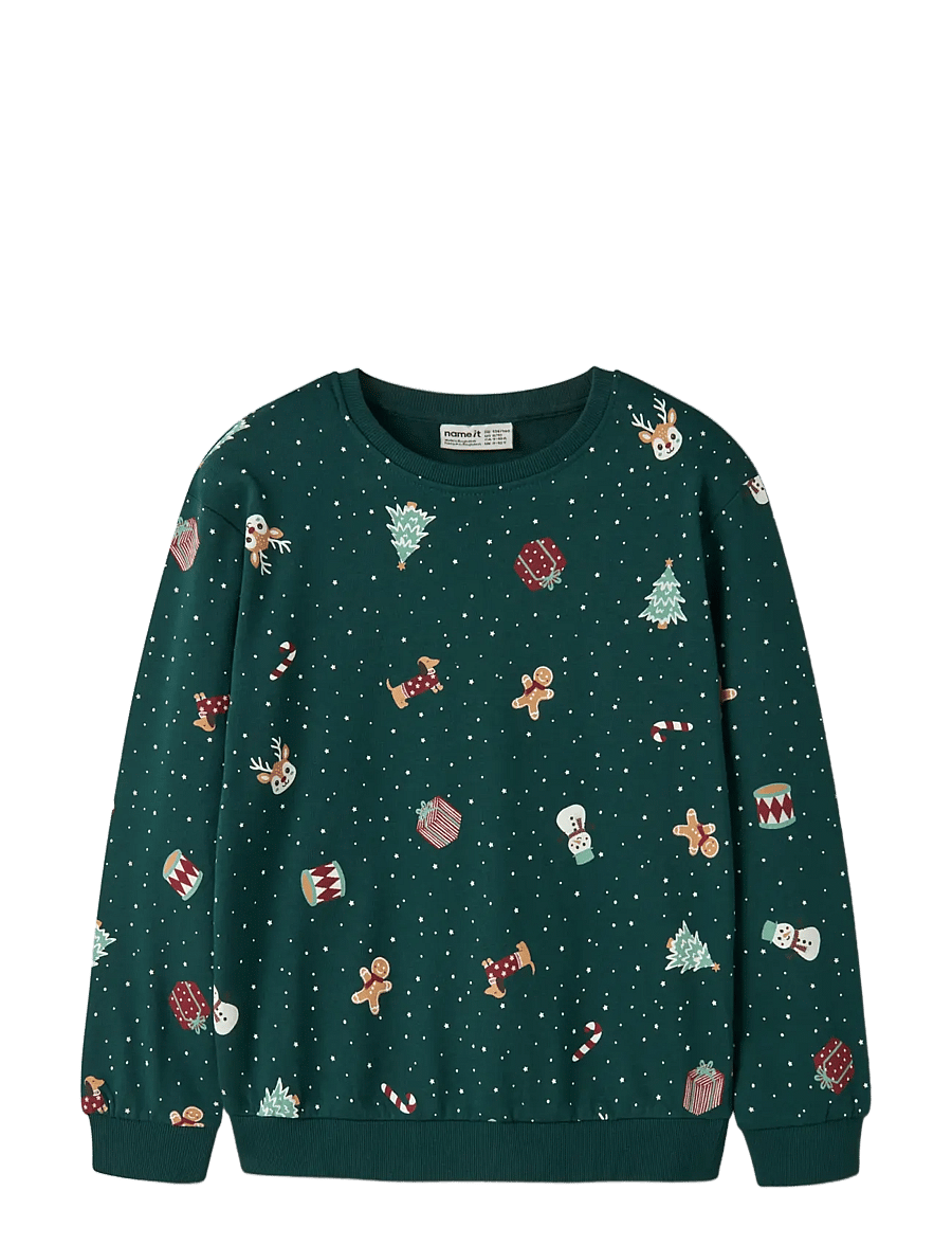 name it - NKNVOHOM LS NREG SWEAT BRU - sweatshirts - botanical garden - 2