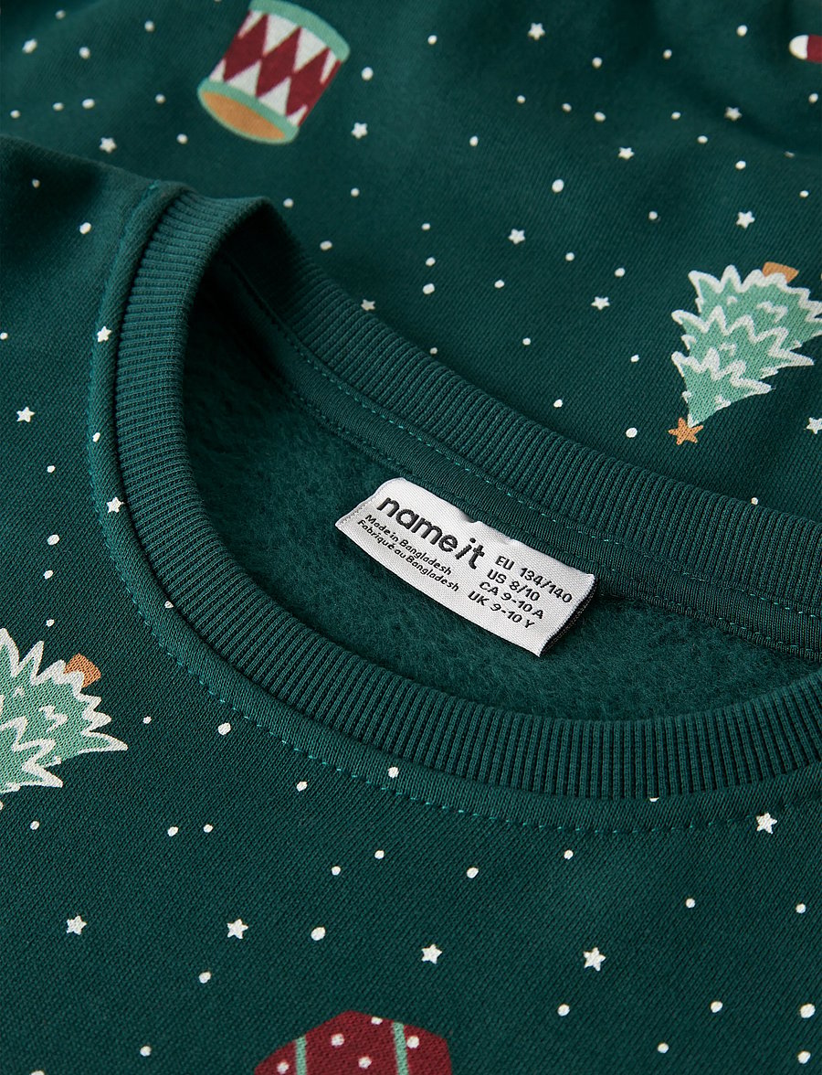 name it - NKNVOHOM LS NREG SWEAT BRU - sweatshirts - botanical garden - 3