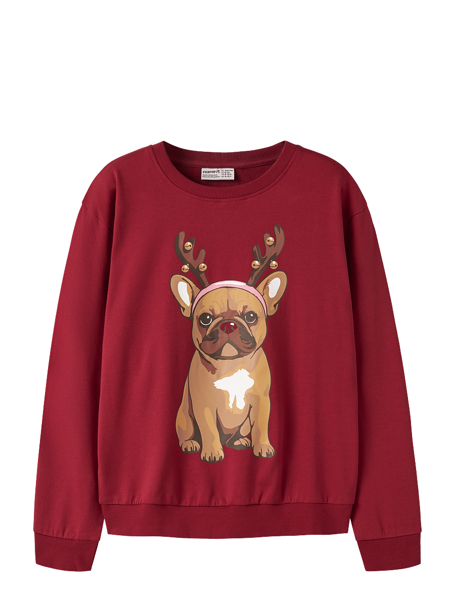 name it - NKFVRASAB LS NREG SWEAT BRU - sweatshirts - red dahlia - 0