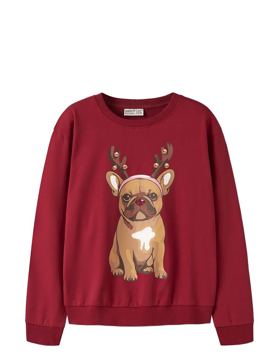 name it - NKFVRASAB LS NREG SWEAT BRU - sweatshirts - red dahlia - 2