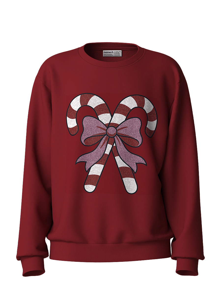 name it - NKFVERTRUD LS NREG SWEAT BRU - sweatshirts - red dahlia - 0