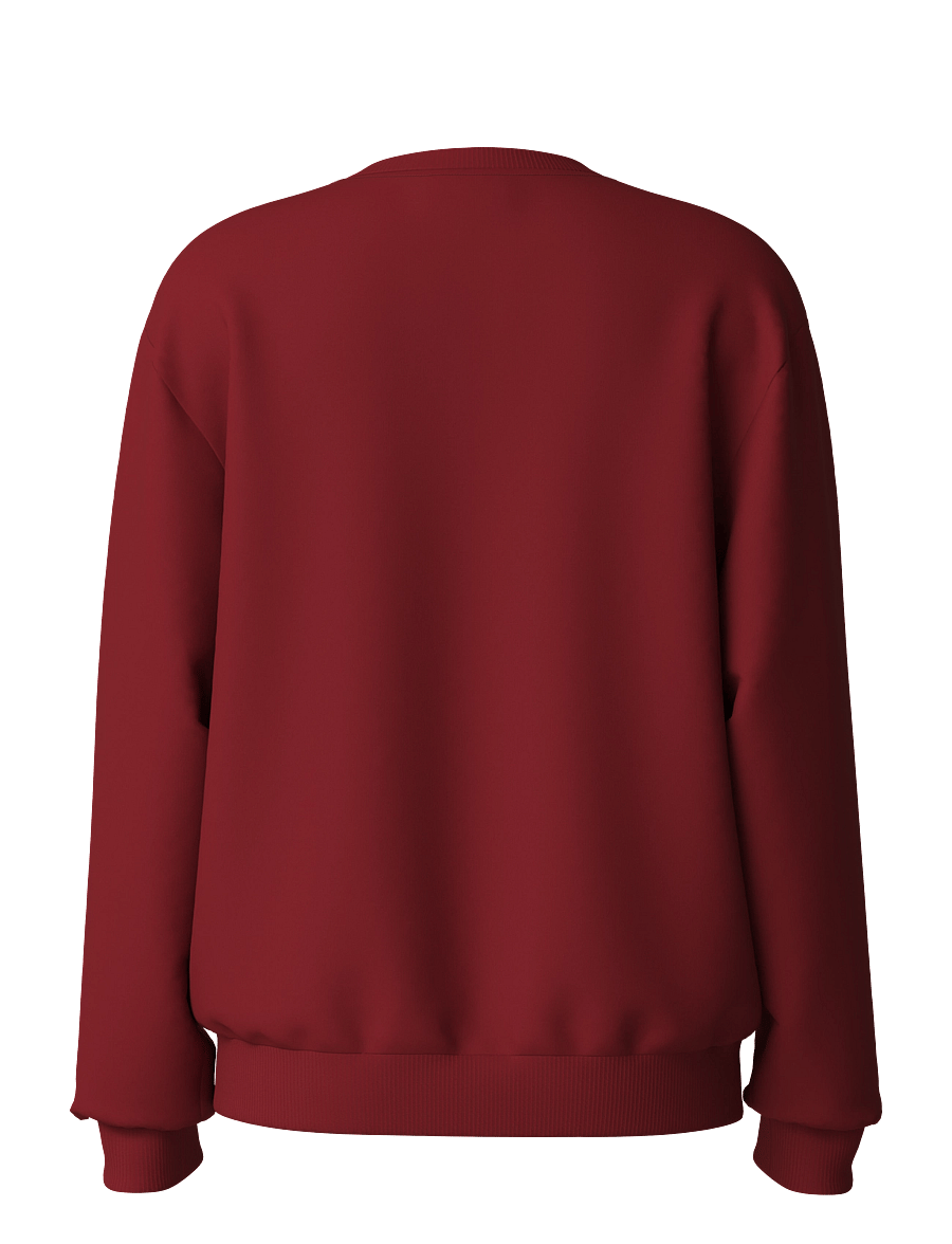 name it - NKFVERTRUD LS NREG SWEAT BRU - sweatshirts - red dahlia - 1