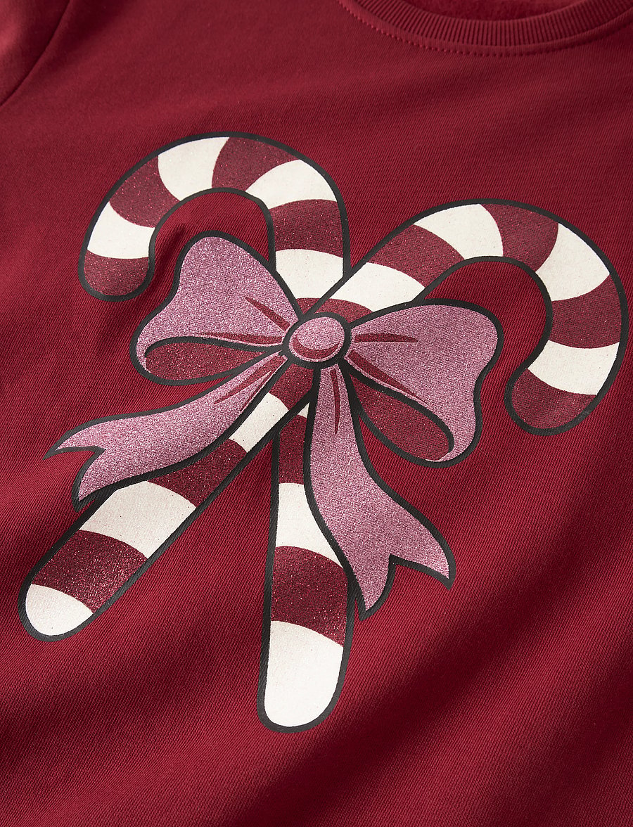 name it - NKFVERTRUD LS NREG SWEAT BRU - sweatshirts - red dahlia - 2