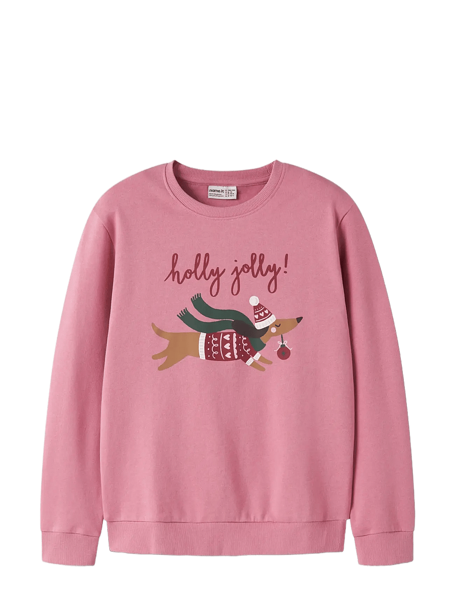 name it - NKFVERTRUD LS NREG SWEAT BRU - sweatshirts - wild rose - 2