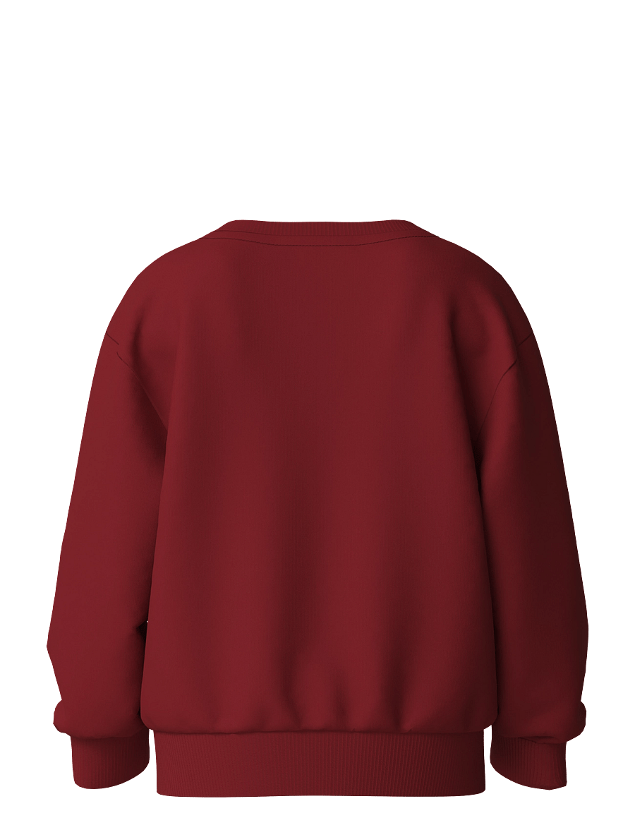 name it - NMFVERTRUD LS NREG SWEAT BRU - sweatshirts - red dahlia - 1