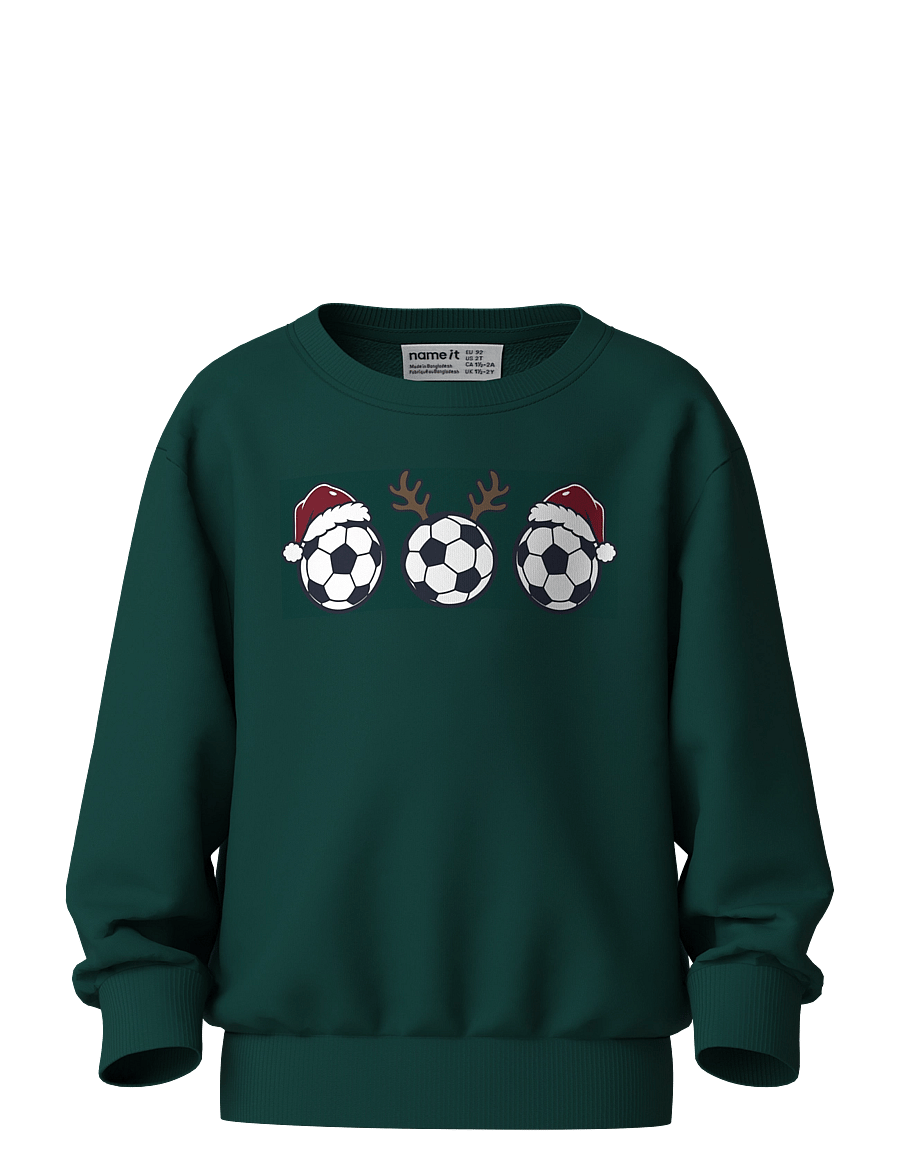 name it - NMMVOLUF LS NREG SWEAT BRU - sweatshirts - botanical garden - 0