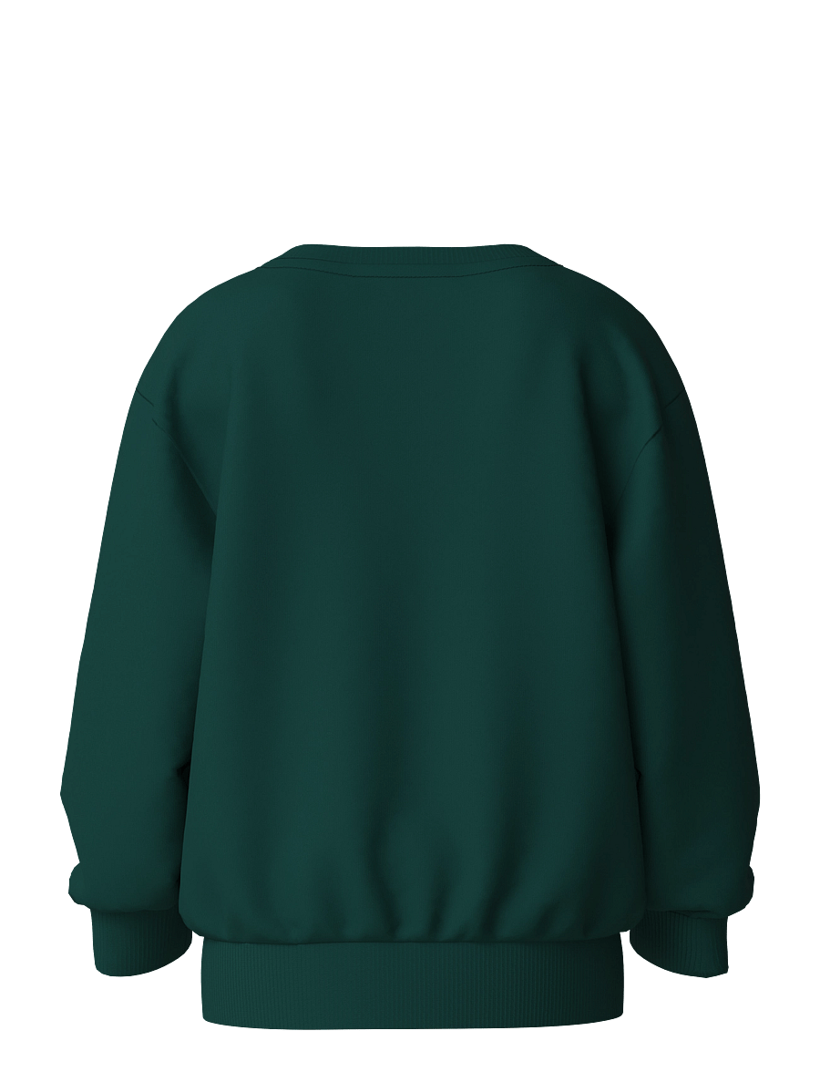 name it - NMMVOLUF LS NREG SWEAT BRU - sweatshirts - botanical garden - 1