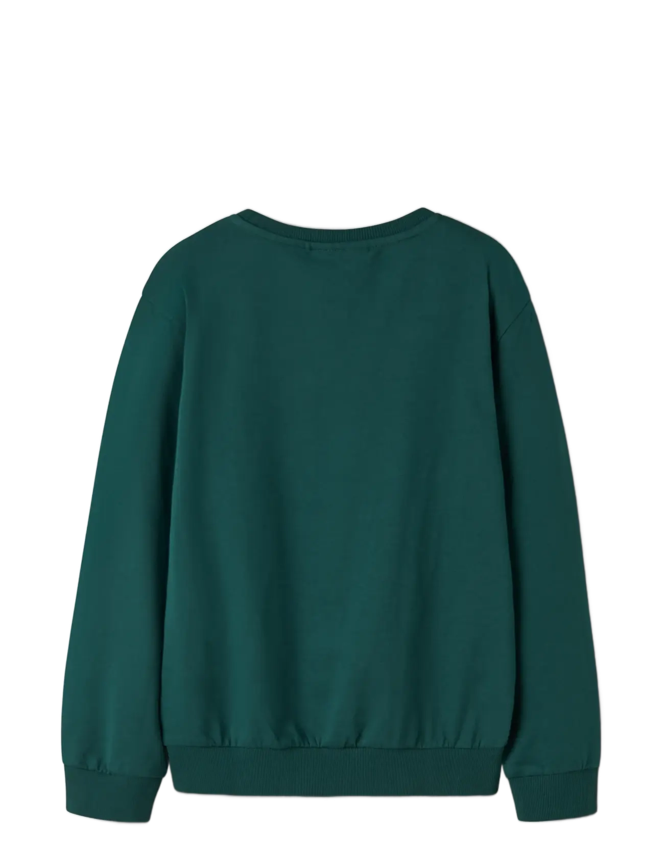 name it - NKMVRALLO LS NREG SWEAT BRU - sweatshirts - botanical garden - 1