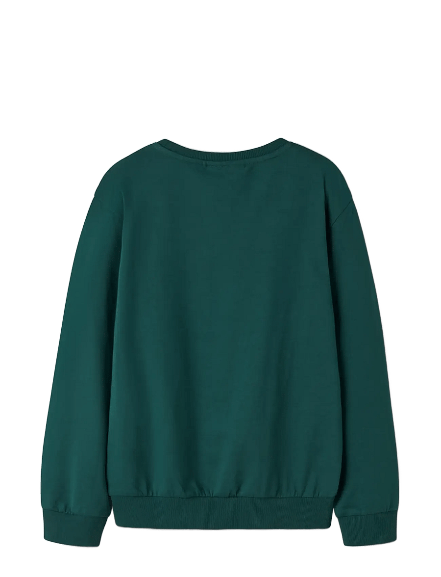 name it - NKMVRALLO LS NREG SWEAT BRU - sweatshirts - botanical garden - 1