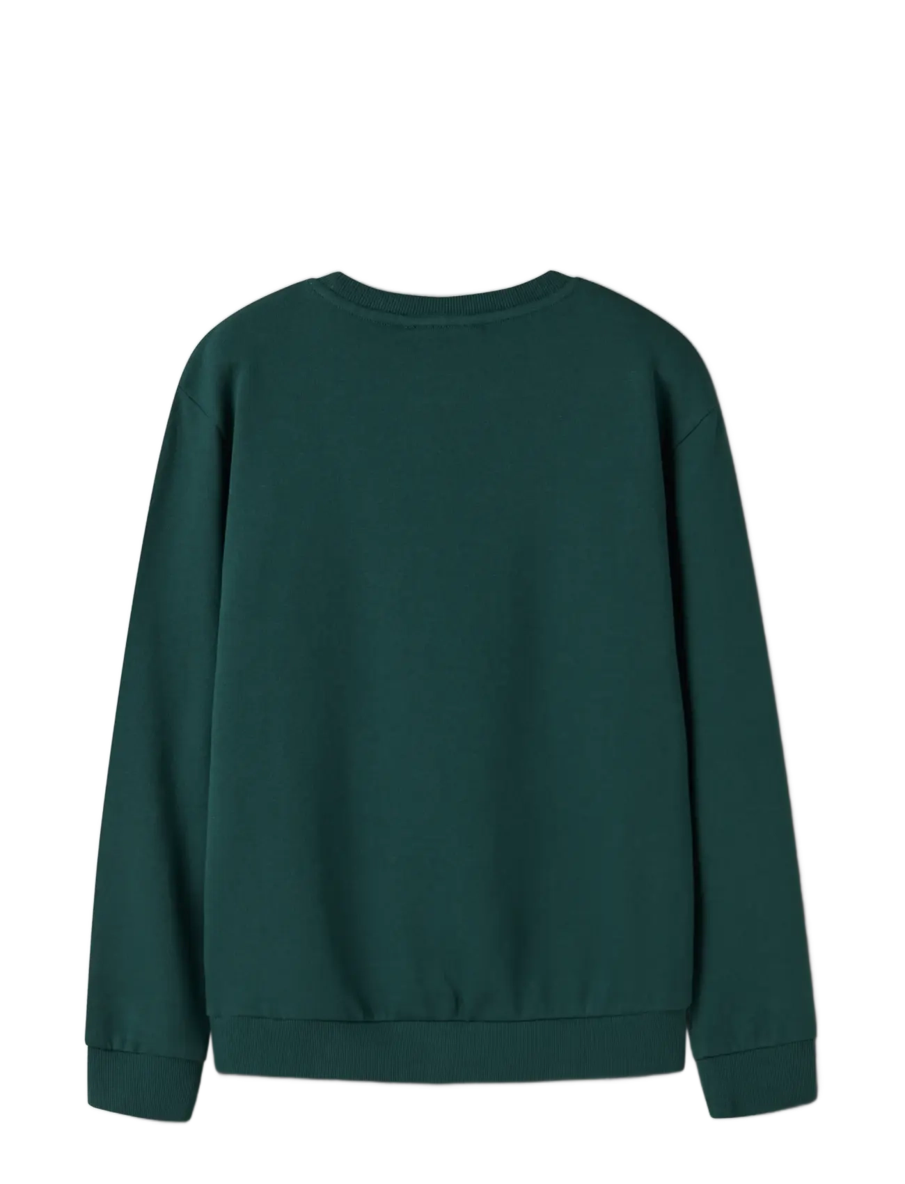 name it - NKMVOLUF LS NREG SWEAT BRU - sweatshirts - botanical garden - 1