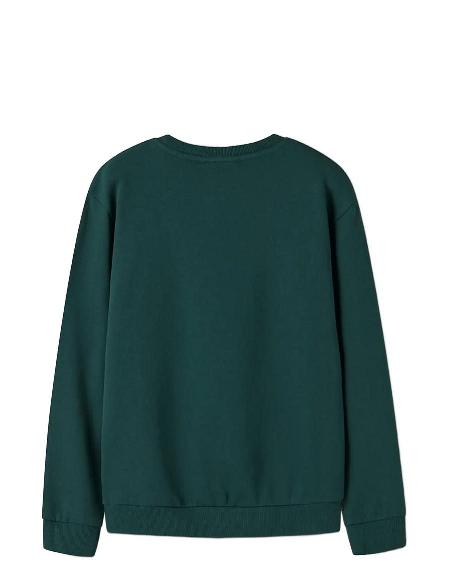 name it - NKMVOLUF LS NREG SWEAT BRU - sweatshirts - botanical garden - 1