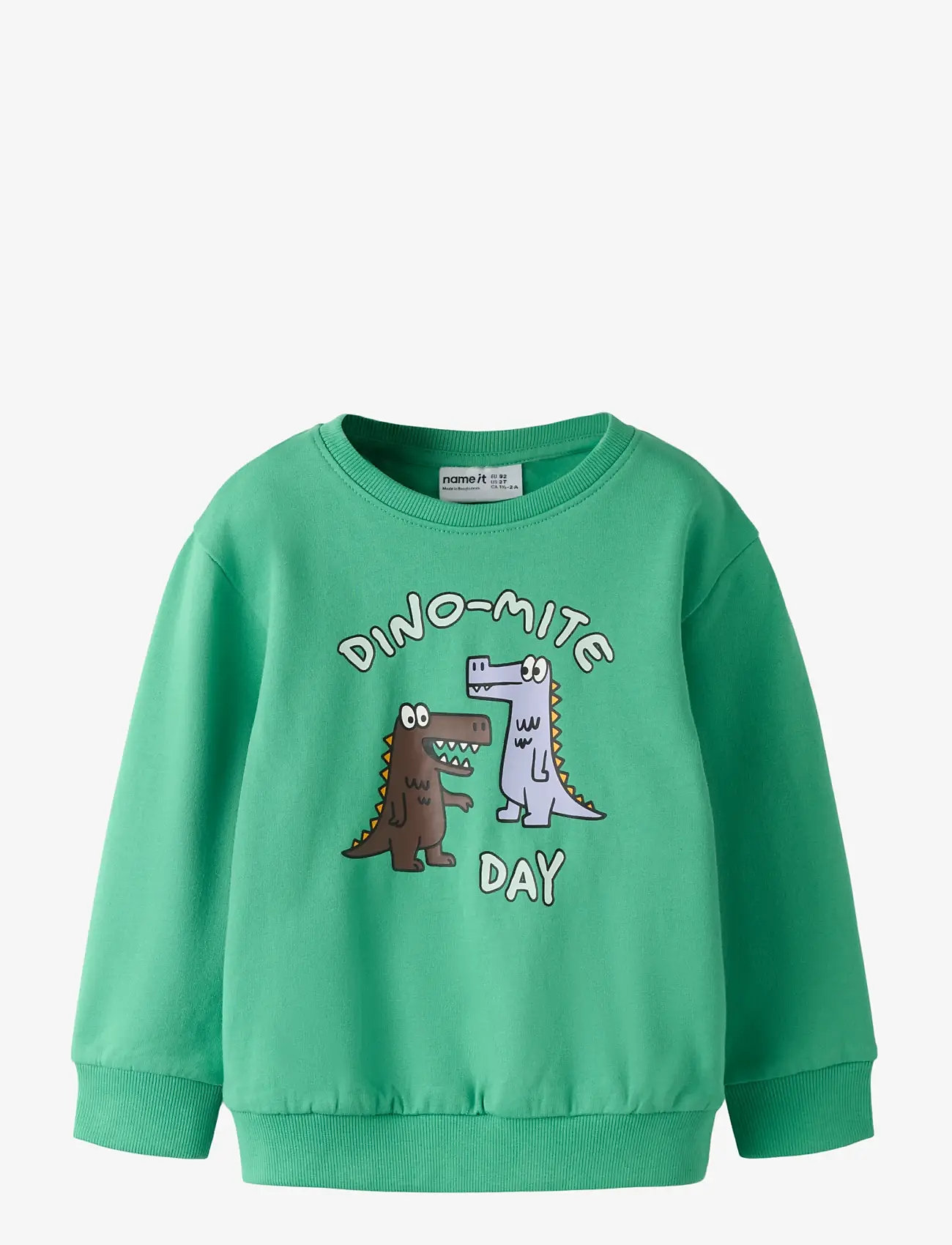 name it - NMMDAKKIAN LS NREG SWE BRU - sweatshirts - green spruce - 1