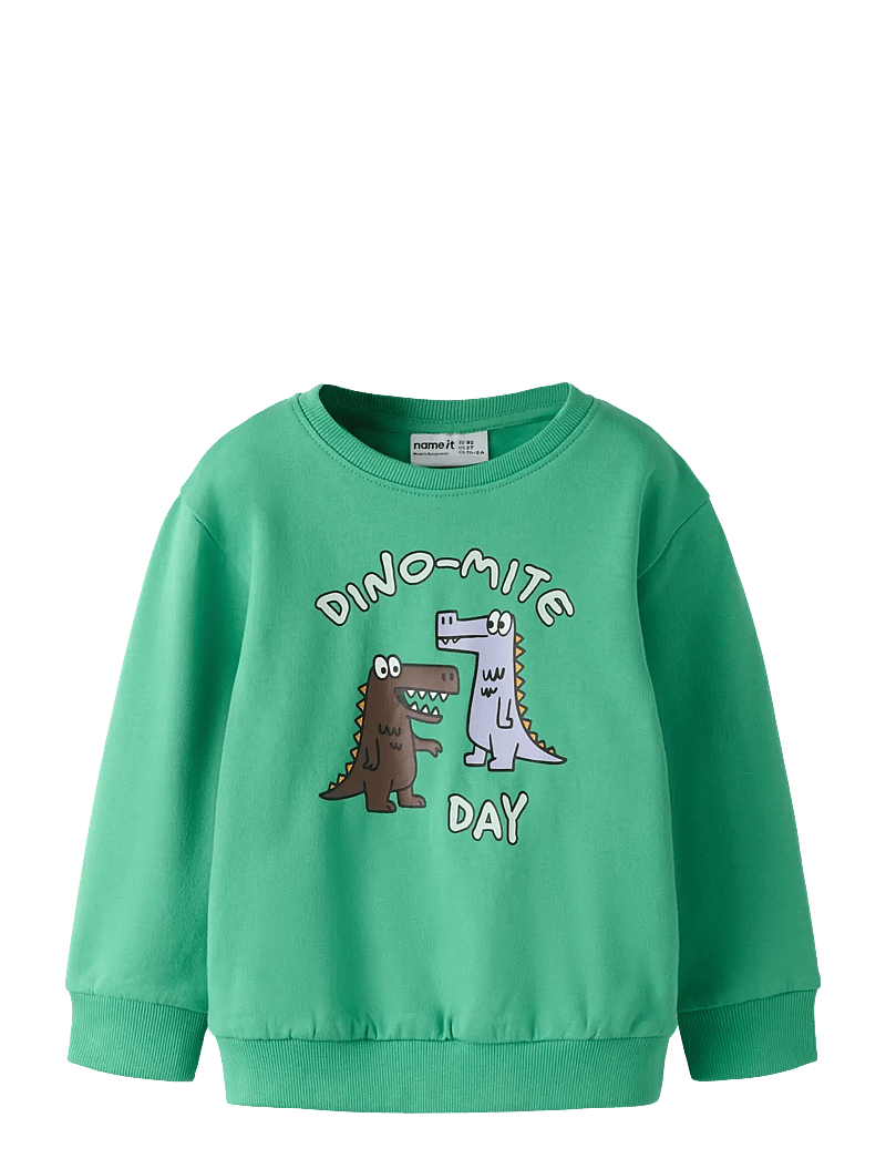 name it - NMMDAKKIAN LS NREG SWE BRU - sweatshirts - green spruce - 1