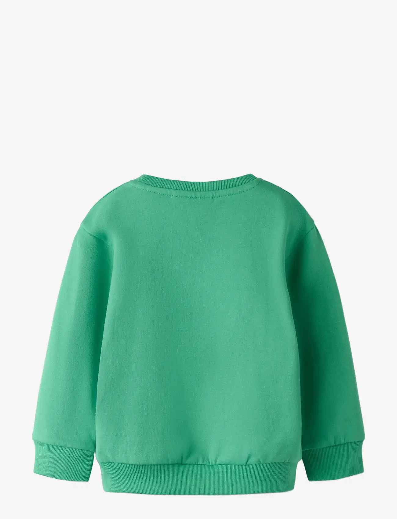 name it - NMMDAKKIAN LS NREG SWE BRU - sweatshirts - green spruce - 2