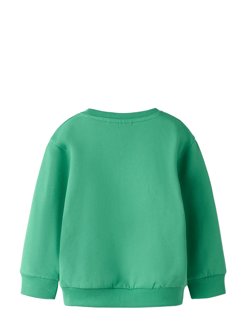 name it - NMMDAKKIAN LS NREG SWE BRU - sweatshirts - green spruce - 2