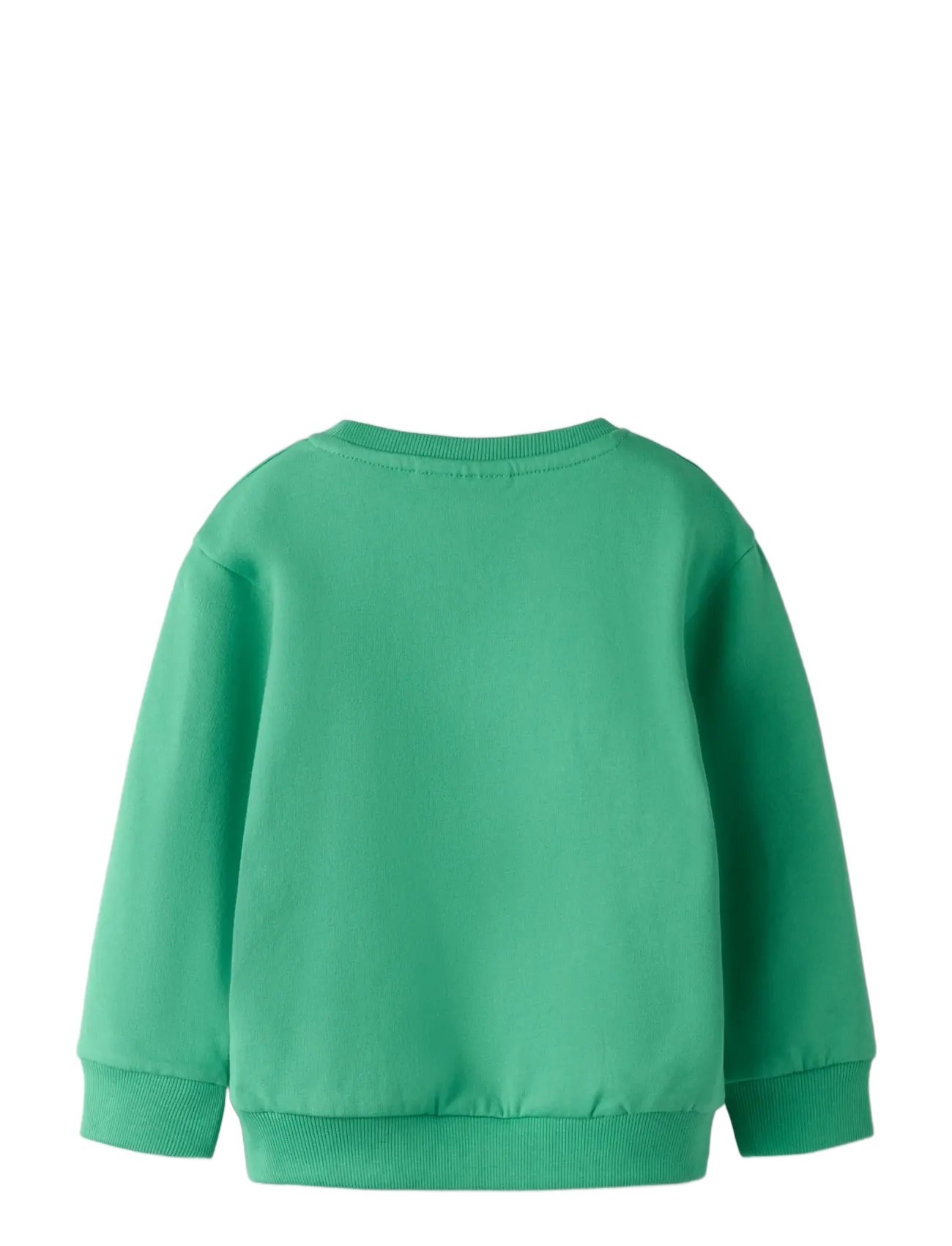name it - NMMDAKKIAN LS NREG SWE BRU - sweatshirts - green spruce - 2