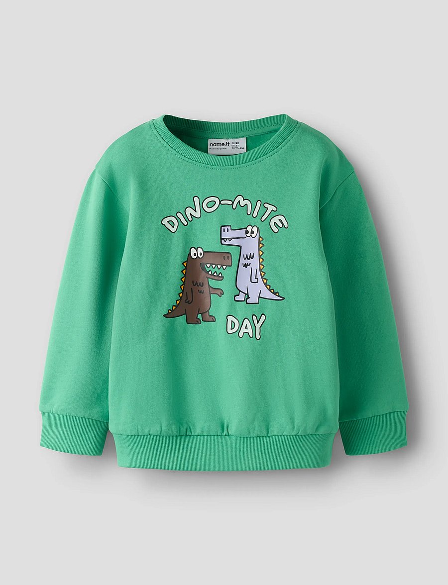 name it - NMMDAKKIAN LS NREG SWE BRU - sweatshirts - green spruce - 0