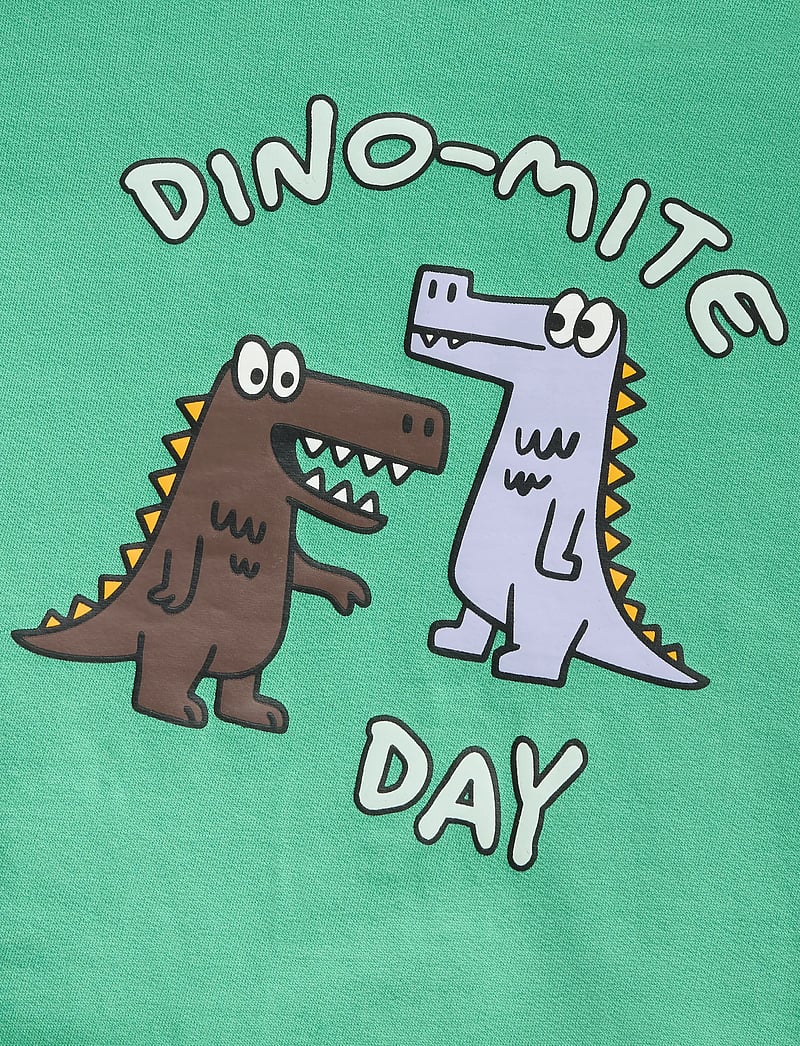 name it - NMMDAKKIAN LS NREG SWE BRU - sweatshirts - green spruce - 3