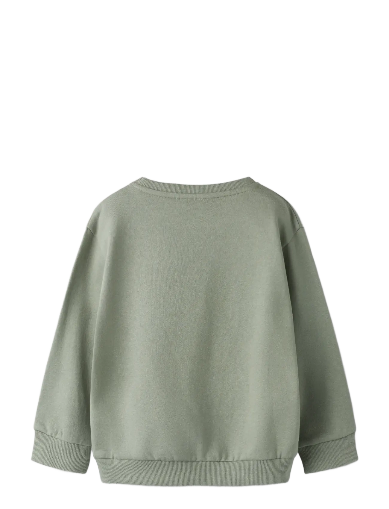 name it - NMMDILASSO LS NREG SWE BRU - sweatshirts - shadow - 1