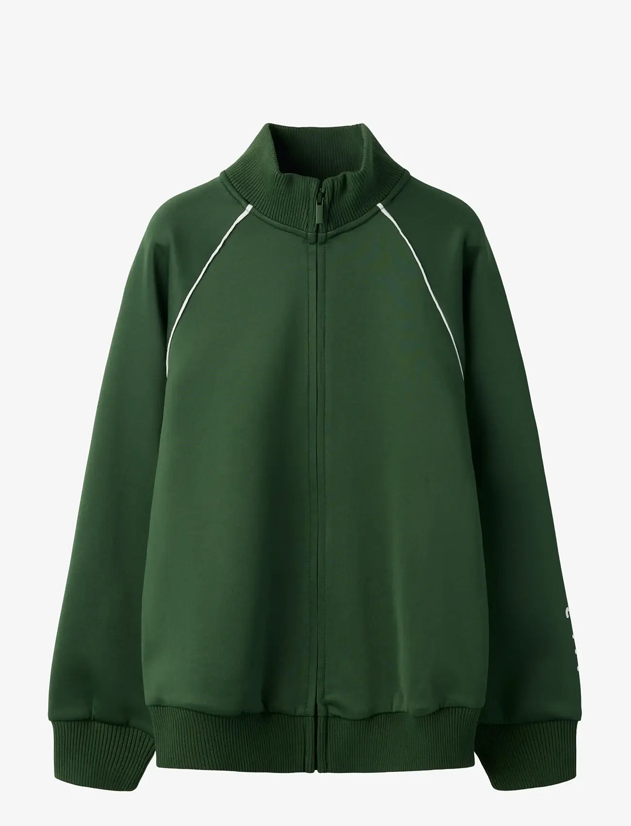 name it - NKNDUNNE LS NREG SWE CARD UNB - sweatshirts - greener pastures - 0