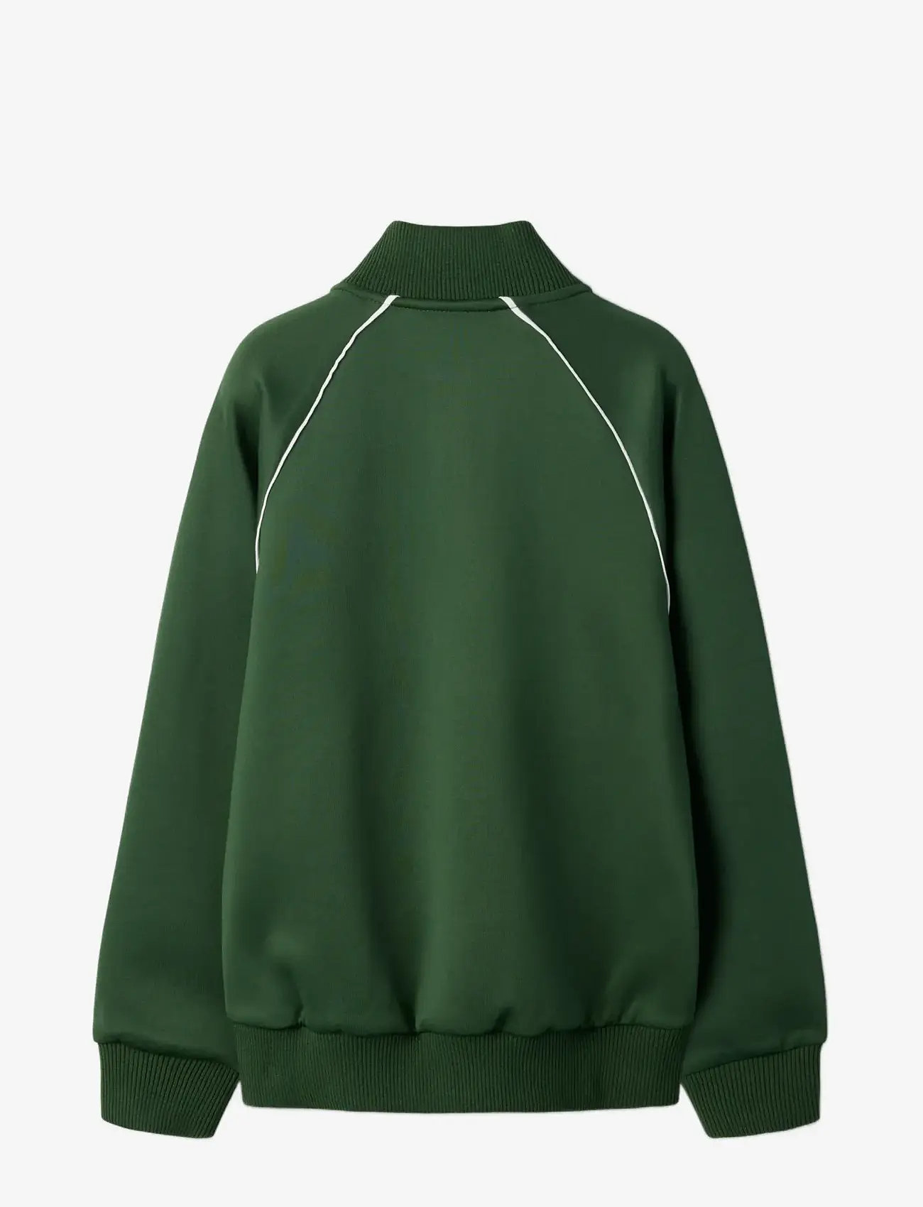 name it - NKNDUNNE LS NREG SWE CARD UNB - sweatshirts - greener pastures - 1