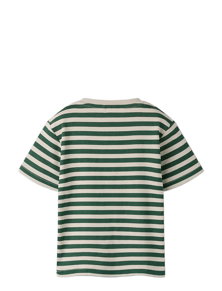name it - NMMFRIKO SS NREG TOP - kortermede t-skjorter - garden topiary - 1
