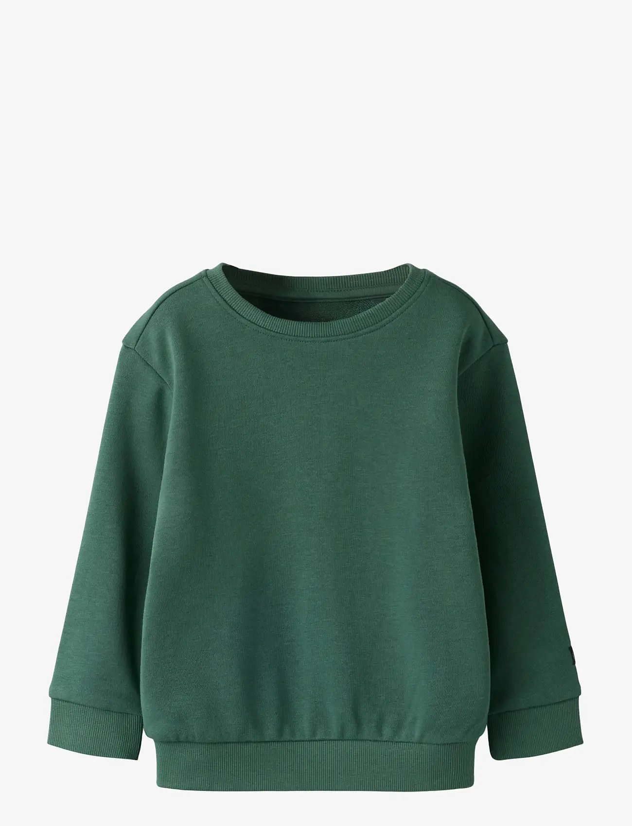name it - NMMFRANCO LS NREG SWE UNB - sweatshirts - garden topiary - 0