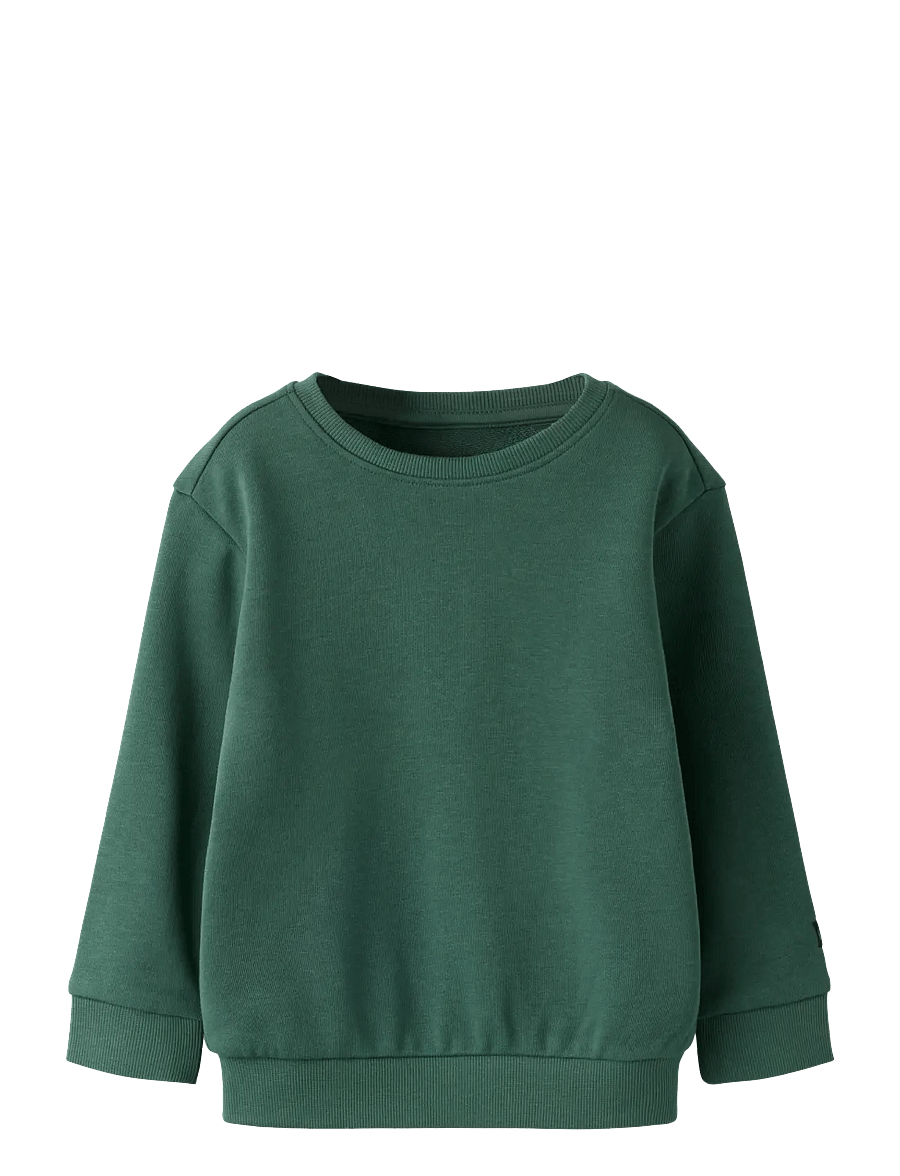 name it - NMMFRANCO LS NREG SWE UNB - sweatshirts - garden topiary - 0