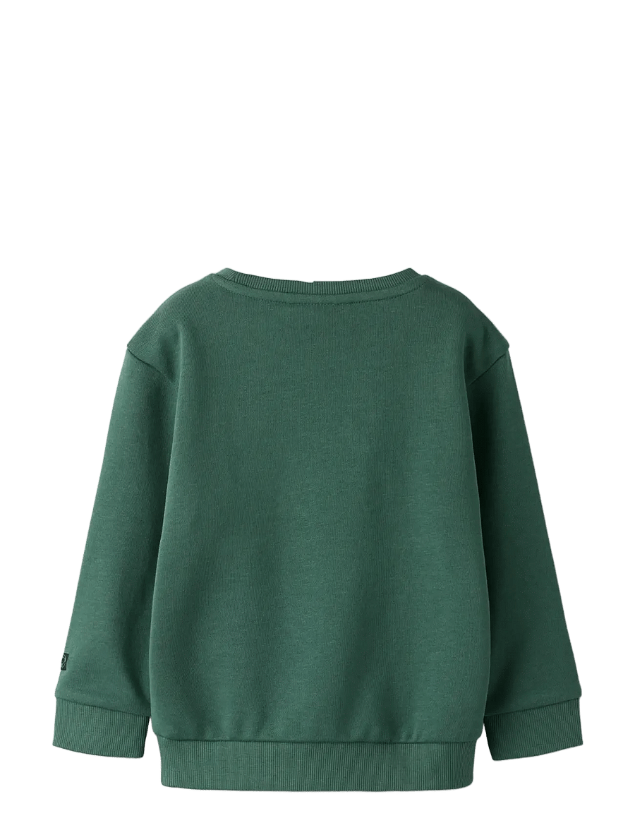 name it - NMMFRANCO LS NREG SWE UNB - sweatshirts - garden topiary - 1
