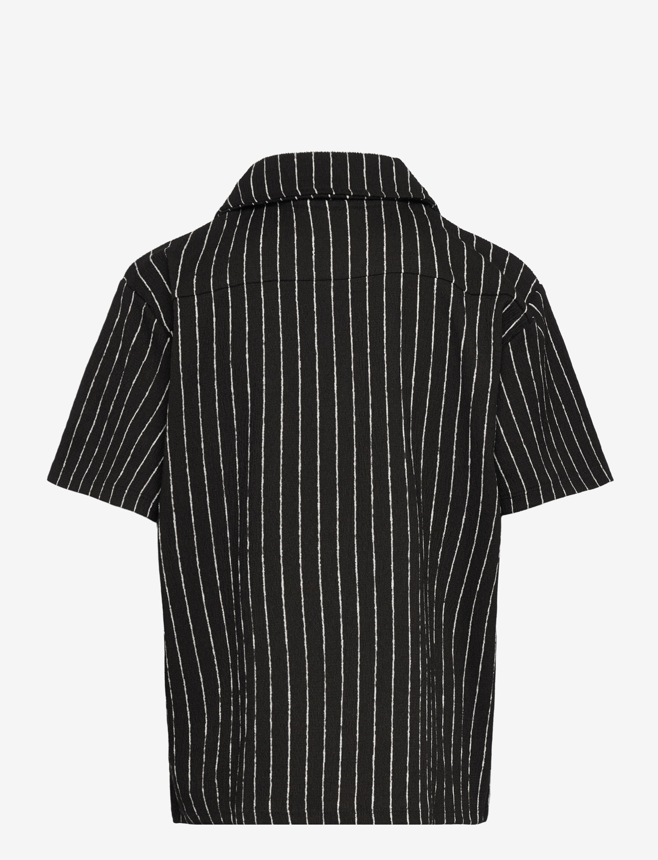 name it - NKMHASLA SS NREG SHIRT - kortærmede skjorter - mole - 1