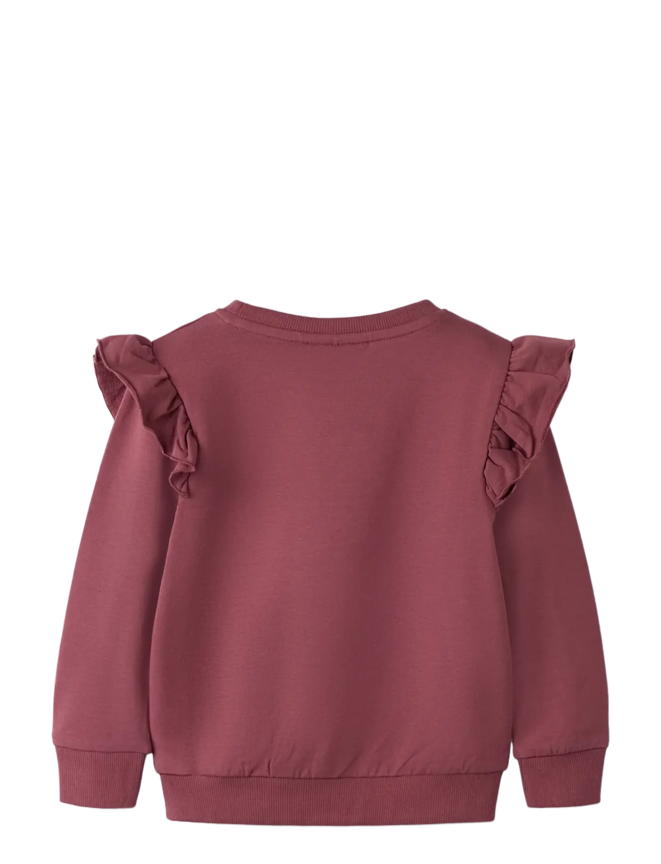 name it - NMFKLUISI LS SWEAT UNB - sweatshirts - wild ginger - 1