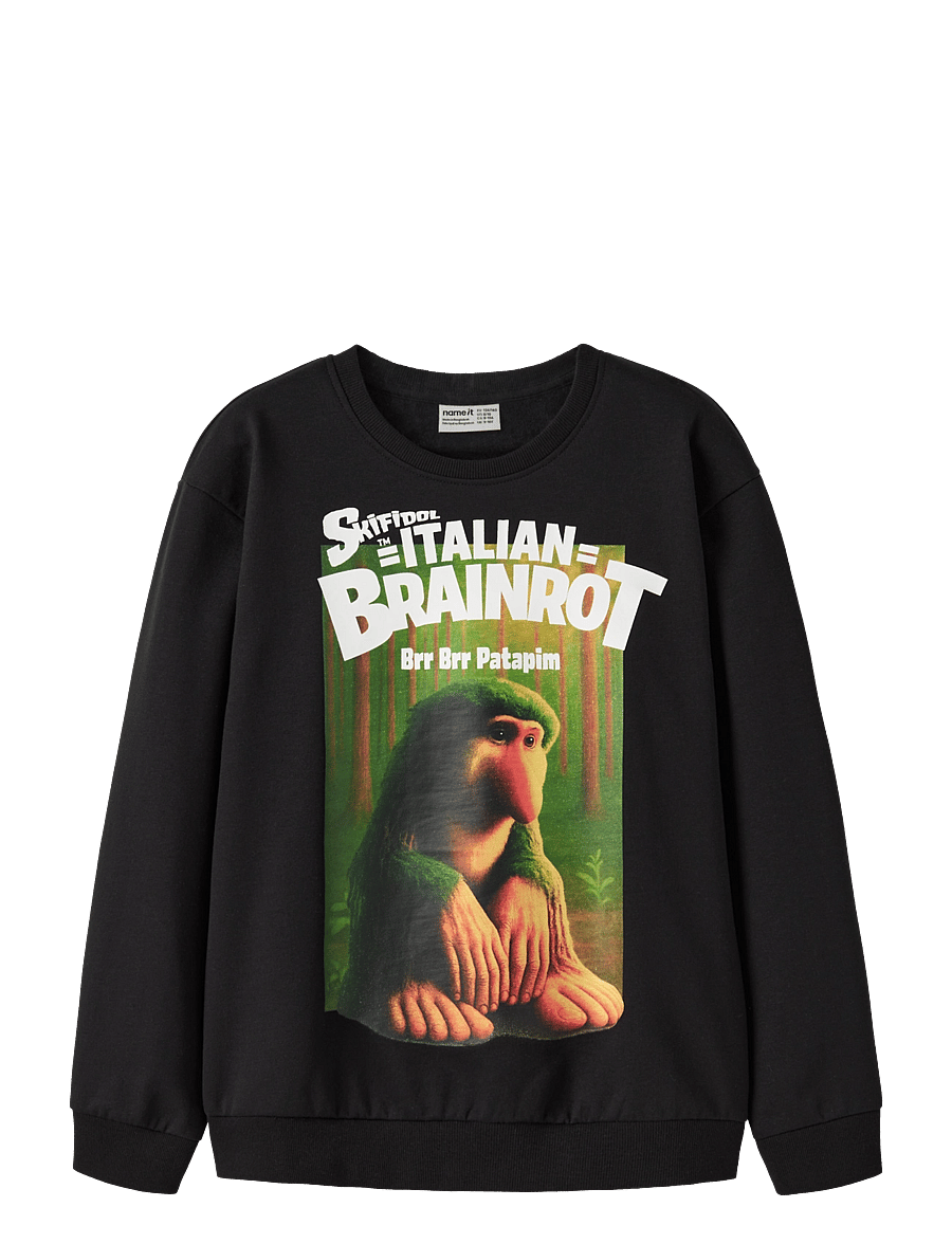 name it - NKMASPER BRAINR NREG SWE BOX BRU VDE - sweatshirts - black - 0