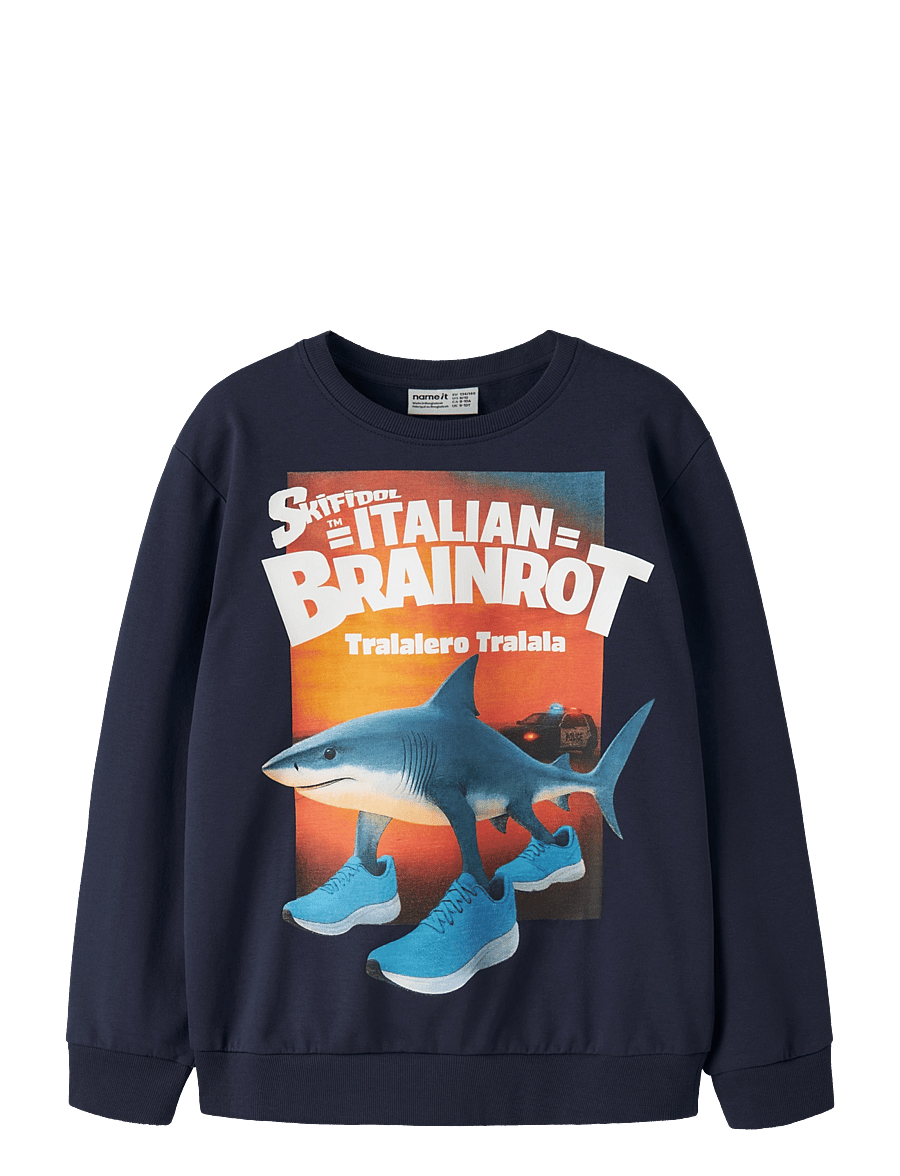 name it - NKMASPER BRAINR NREG SWE BOX BRU VDE - sweatshirts - navy blazer - 0