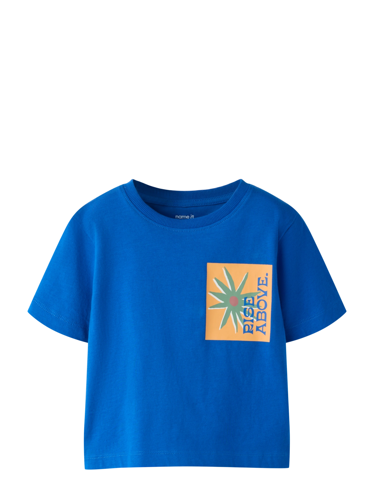 SURF THE WEB