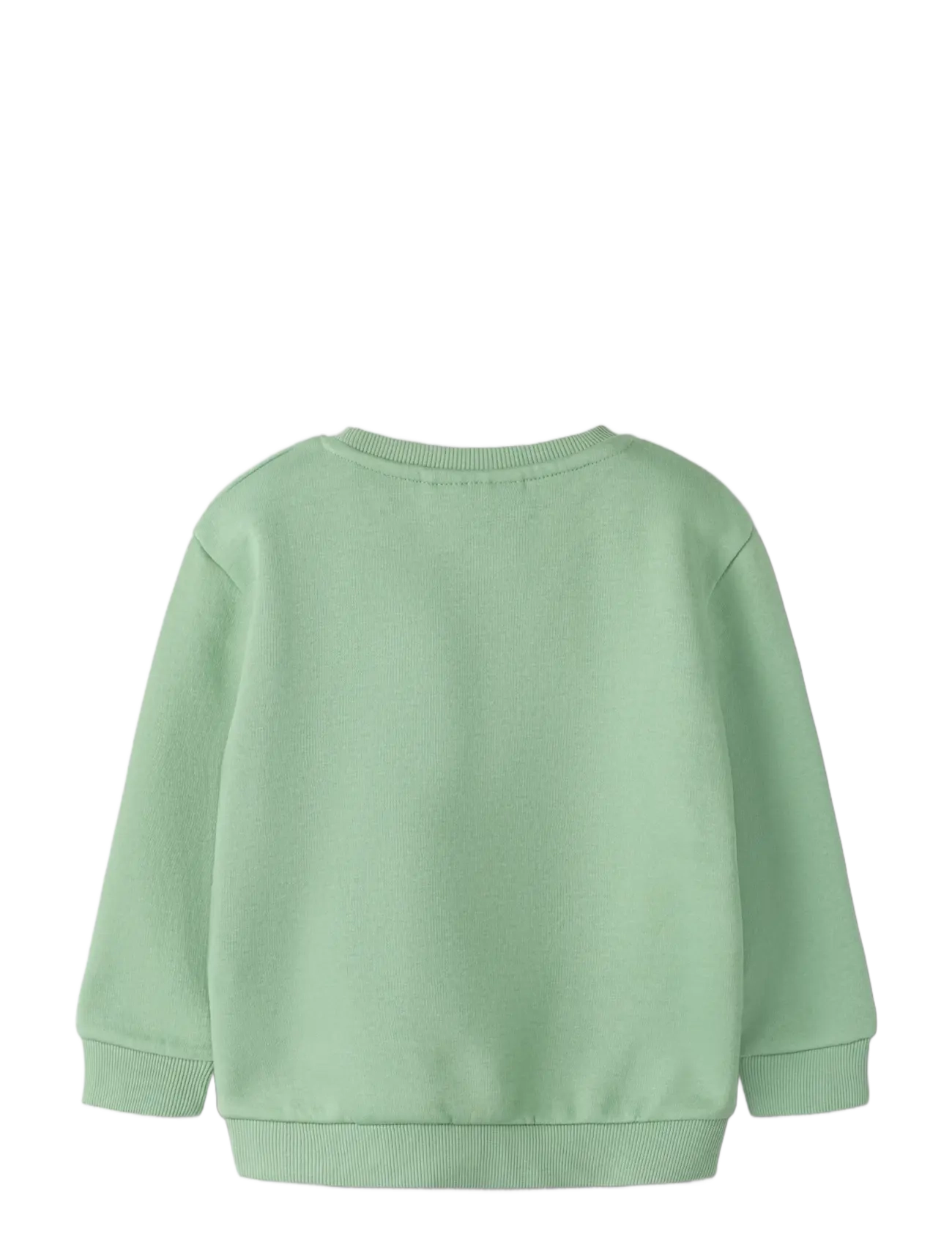 name it - NMMOLAV LS NREG SWE BRU - basil - 1