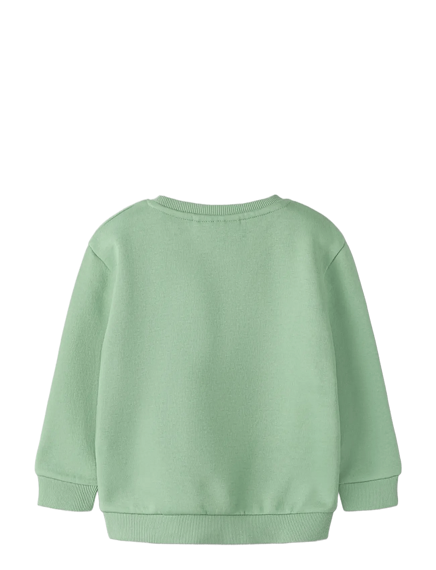 name it - NMMOLAV LS NREG SWE BRU - basil - 1