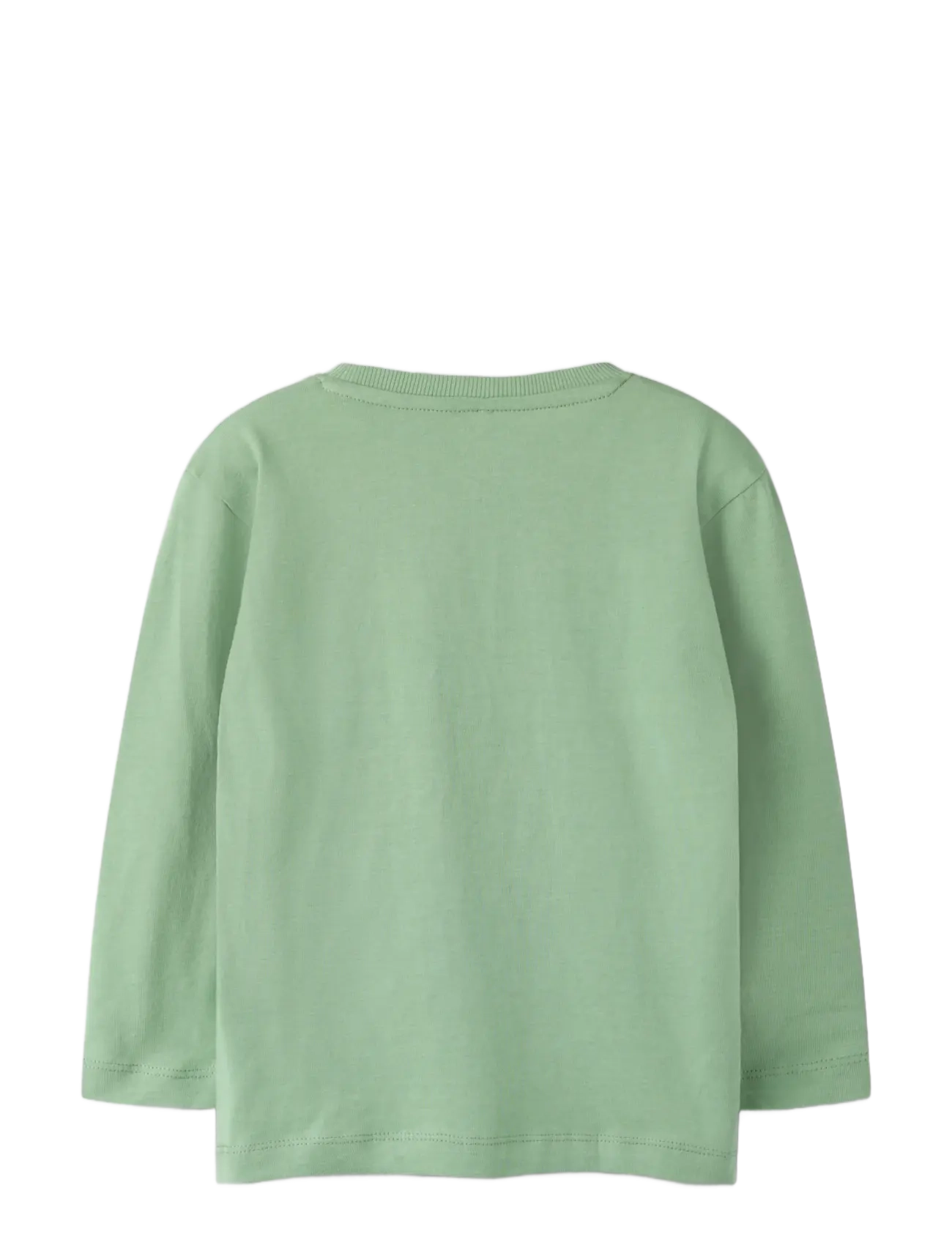 name it - NMMOLAF LS NREG TOP - basil - 1